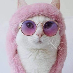 Meet your Posher, Kirsten